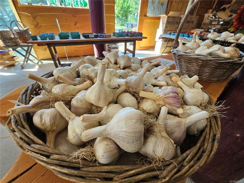 2156 Coleman Rd, Courtenay, BC 