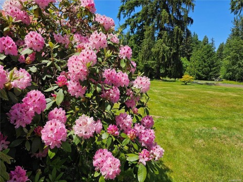 2156 Coleman Rd, Courtenay, BC 