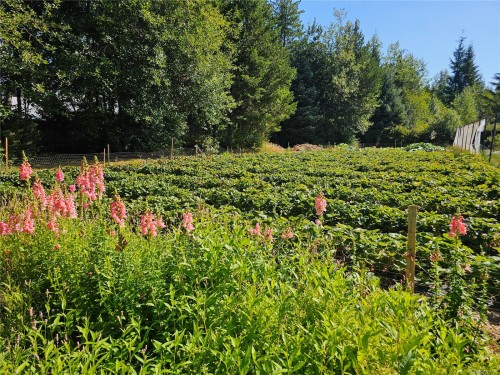 2156 Coleman Rd, Courtenay, BC 