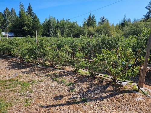 2156 Coleman Rd, Courtenay, BC 