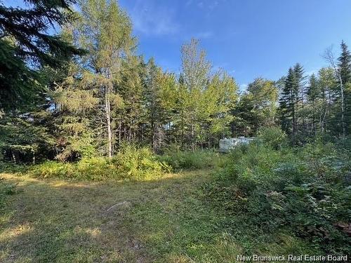 - Milkish Creek Rd, Summerville, NB 