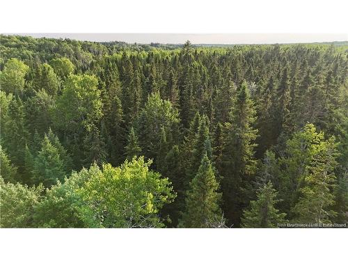Lot 3 Murray Rd, Smiths Corner, NB 
