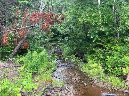 Lot 3 Murray Rd, Smiths Corner, NB 