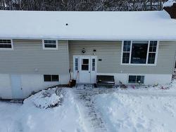 111 GRANDVIEW Avenue  Trenton, NS B0K 1X0