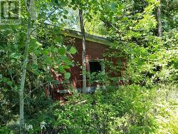 15572 HIGHWAY 17  Whitewater Region, ON K0J 1Y0