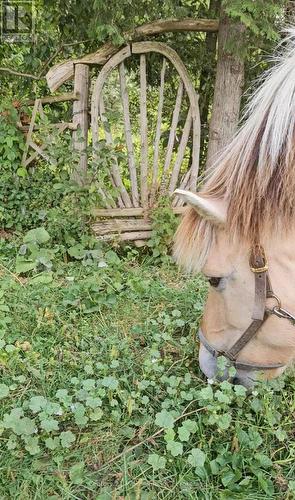 612608 Sideroad 61, Southgate, ON 