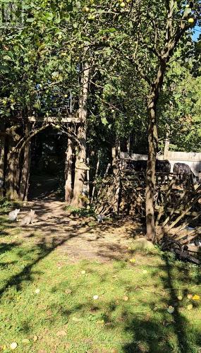 Lovely walking paths - 612608 Sideroad 61, Southgate, ON 