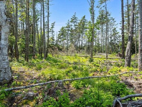 Lot Highway 207, Seaforth, NS 