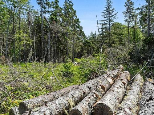 Lot Highway 207, Seaforth, NS 
