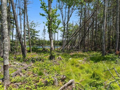 Lot Highway 207, Seaforth, NS 