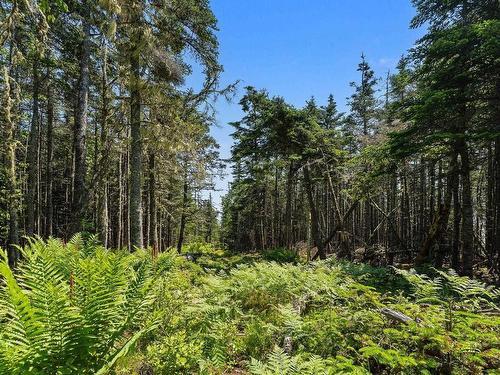 Lot Highway 207, Seaforth, NS 