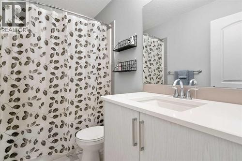 43 Seton Rise Se, Calgary, AB - Indoor Photo Showing Bathroom