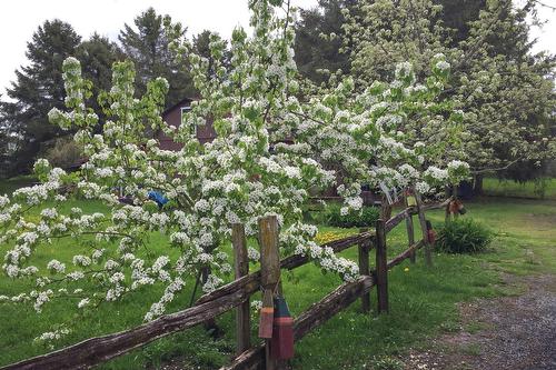 Cour - 75 6E Rang, Mont-Saint-Grégoire, QC - Outdoor