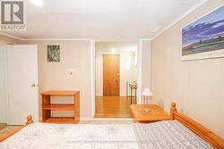 Basement Bedrrom #2 - 