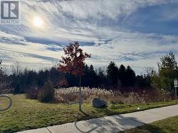 Trails, Zancor Sport Centre and Top Schools - 