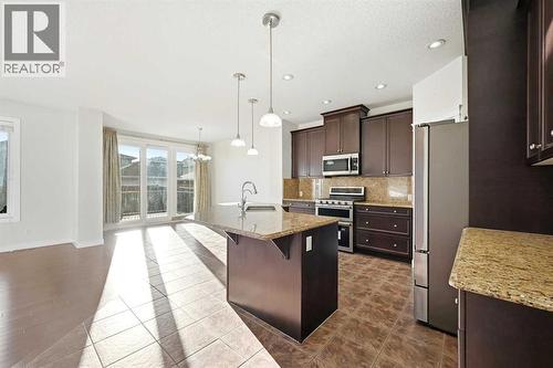 59 Redstone Park Ne, Calgary, AB - Indoor Photo Showing Kitchen With Stainless Steel Kitchen With Upgraded Kitchen