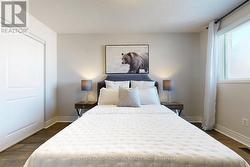 Bright large 4 bedrooms - 