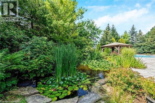 15 Trillium Terrace, Halton Hills, ON - Outdoor
