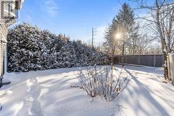 Fully fenced deep backyard - 