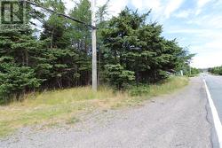 198a Conception Bay Highway  Holyrood, NL A0A 2R0