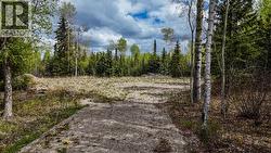 10240 PARK MEADOWS DRIVE  Prince George, BC V2N 0H7