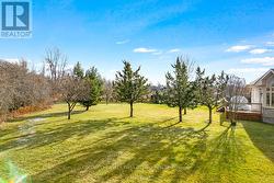 Green space to enjoy and treasure - 