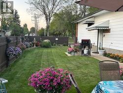 Summer 2025 side yard - 