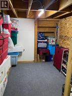 Storage in Basement - 