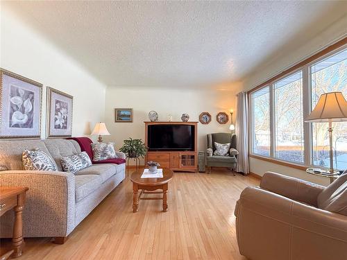 94 Clement Drive, Brandon, MB - Indoor Photo Showing Living Room