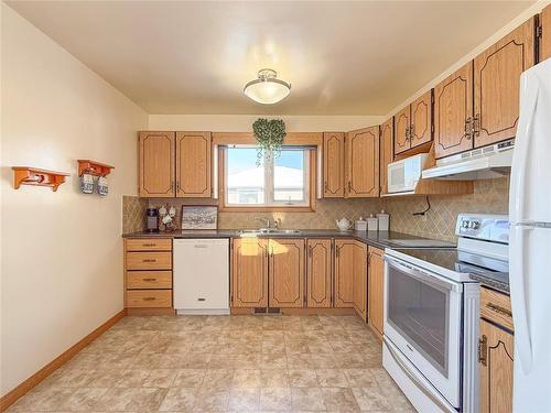 94 Clement Drive, Brandon, MB - Indoor Photo Showing Kitchen With Double Sink