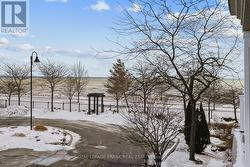 View from Terrace of Lake Ontario - 