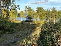 202 Comfort Cove Road  Comfort Cove-Newstead, NL A0G 3A0