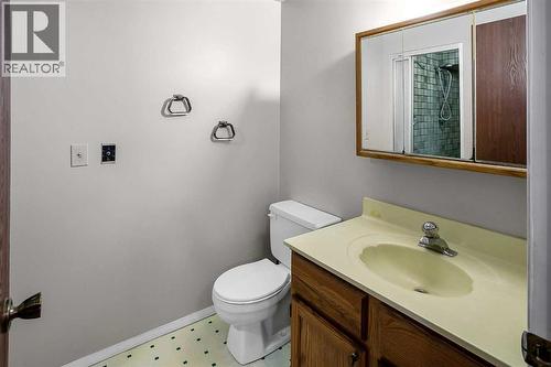 4pc basement bathroom with a massive shower - 467 Berkley Crescent Nw, Calgary, AB - Indoor Photo Showing Bathroom
