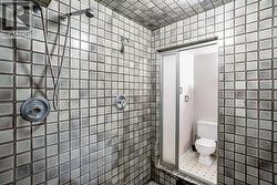 4pc basement bathroom with a massive shower - 