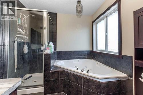 100 Willow Ridge Link, Diamond Valley, AB - Indoor Photo Showing Bathroom