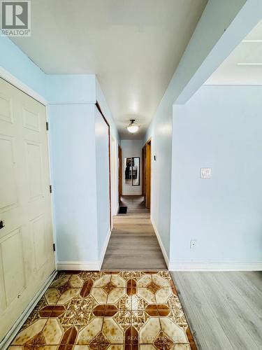 20 Terrace Drive, Hamilton, ON - Indoor Photo Showing Other Room