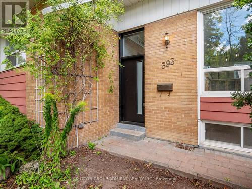 393 Paliser Crescent S, Richmond Hill, ON - Outdoor With Exterior