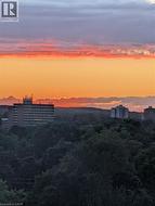 Actual view from primary bedroom - 