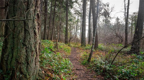 3855 Haro Rd, Saanich, BC 