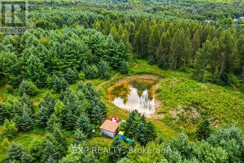 9307 9 Side Road, Erin, ON 