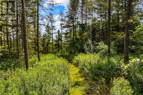 9307 9 Side Road, Erin, ON 