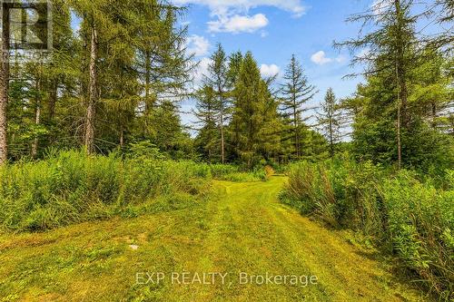 9307 9 Side Road, Erin, ON 