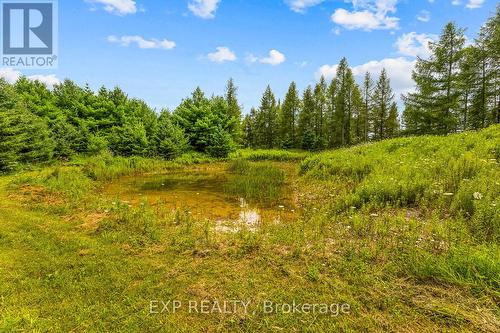 9307 Sideroad 9 Side Road, Erin, ON 