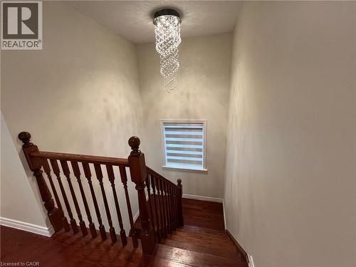 Stairs with baseboards and hardwood / wood-style flooring - 24 Hazelton Avenue, Hamilton, ON - Indoor Photo Showing Other Room