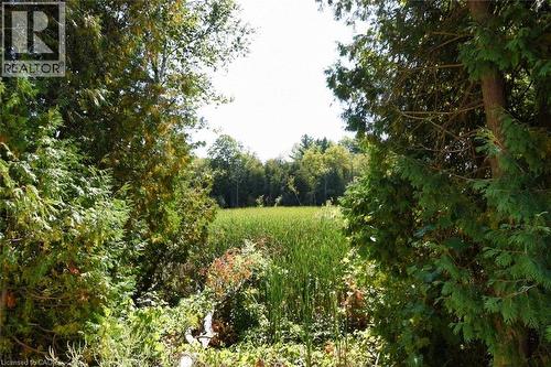 View of local wilderness - 1085 10Th Concession Road W Unit# 29, Flamborough, ON - Outdoor