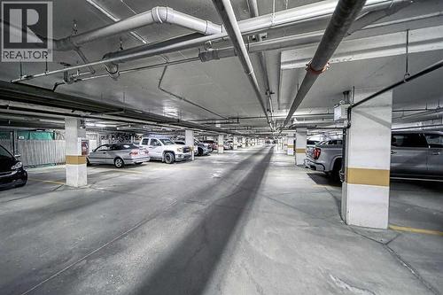 242, 52 Cranfield Link Se, Calgary, AB - Indoor Photo Showing Garage