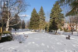 Beautiful Property - 