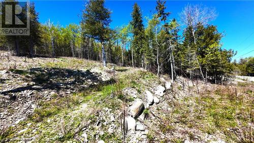 503 Lighthouse Road, Gore Bay, ON 