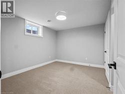 Basement with baseboards and carpet flooring - 