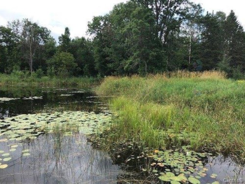 Bord de l'eau - 38 Ch. Du Lac-Lawless, Litchfield, QC 